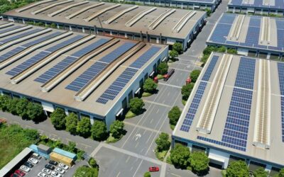 Comment engager votre entreprise dans la transition énergétique ?
